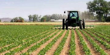 Namibia targets 130,000ha farms, N$2.8bn in crop exports