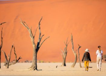 Costly flights and seasonal demand threaten Namibia’s tourism recovery