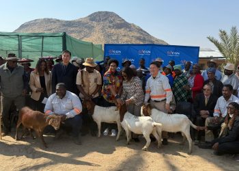 40 farmers to benefit from N$4 million small stock initiative