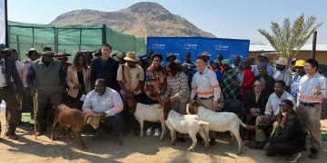 40 farmers to benefit from N$4 million small stock initiative
