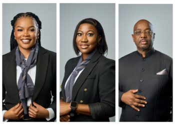 Shafudah appoints Masheshe, Siteketa and Kamatuka to DBN Board