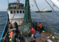 Government scheme re-employs over 2,400 fishermen