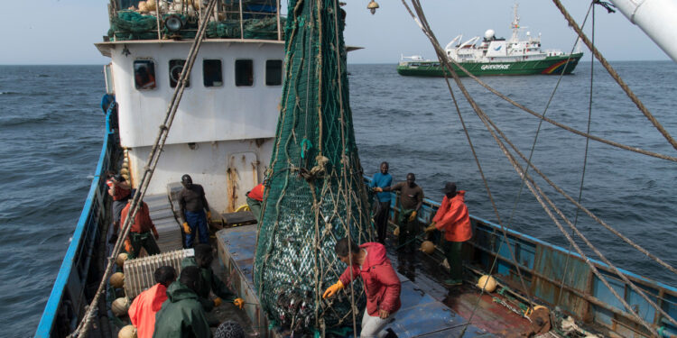 Government scheme re-employs over 2,400 fishermen