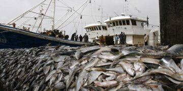 Namibia urged to reform fisheries legislation and improve oversight