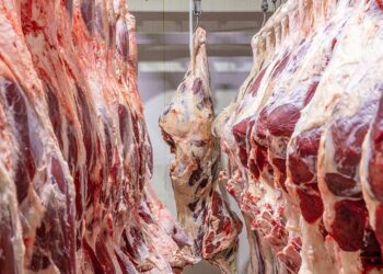 Namibia’s beef exports plunge nearly 50% in Q2
