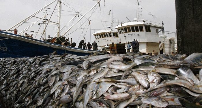 Namibia urged to reform fisheries legislation and improve oversight