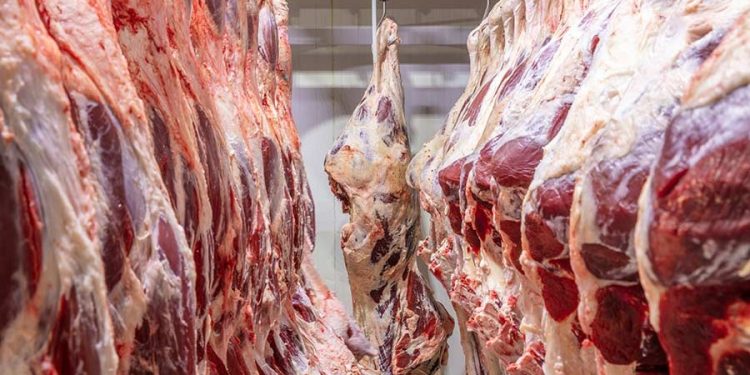Namibia’s beef exports plunge nearly 50% in Q2