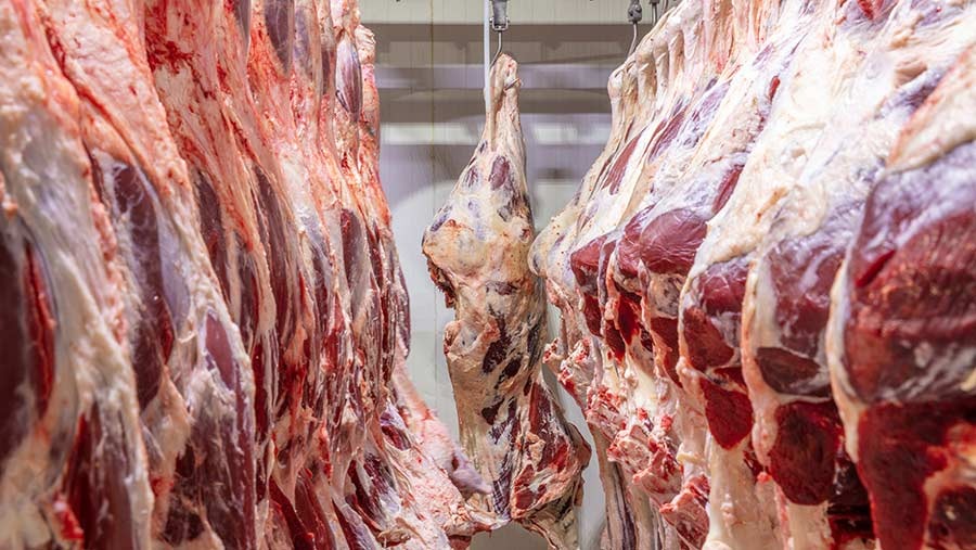 BEEF - The Brief | Namibia's Leading Business & Financial News