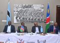 Namibia, Botswana turn to private investors for Trans-Kalahari Railway