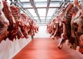 MEAT - The Brief | Namibia's Leading Business & Financial News Namibian beef exports fall 50% in H1, wiping out up to N$800 Million