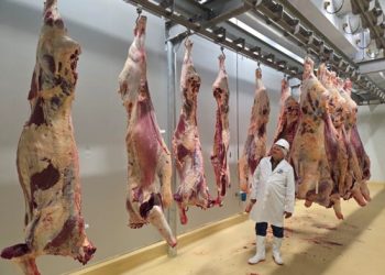 Savanna Beef completes first trial slaughter ahead of EU,SADC accreditation drive