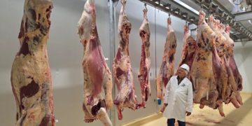 Savanna Beef completes first trial slaughter ahead of EU,SADC accreditation drive