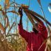 Strive for food self-sufficiency and security