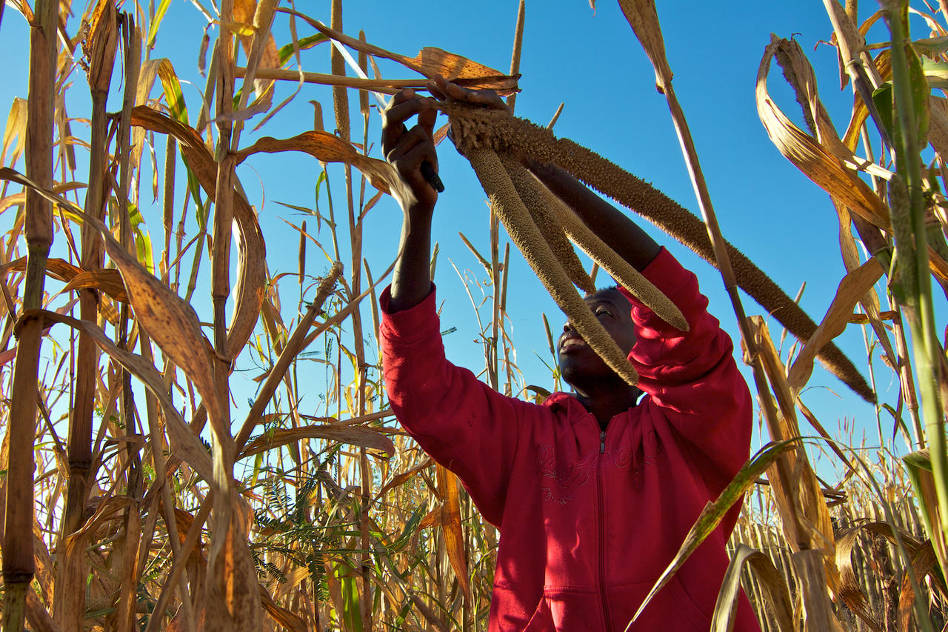 CROP3 - The Brief | Namibia's Leading Business & Financial News