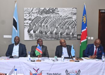 Namibia, Botswana turn to private investors for Trans-Kalahari Railway