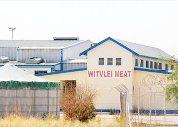 Agribank returns Witvlei abattoir on market for N$51.7 million