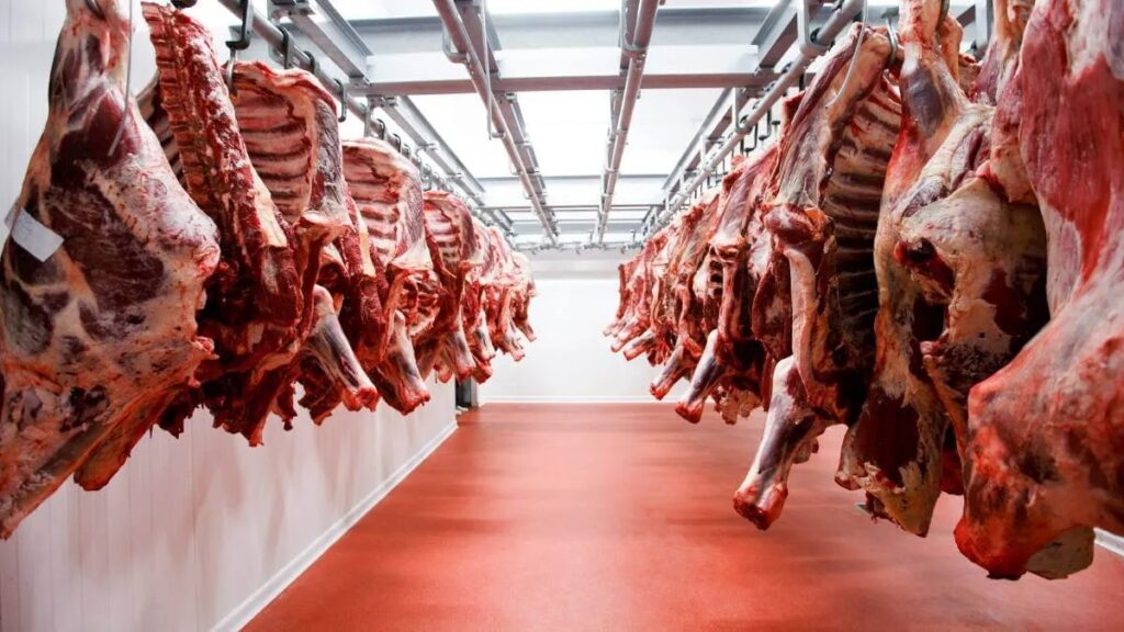 MEAT - The Brief | Namibia's Leading Business & Financial News
