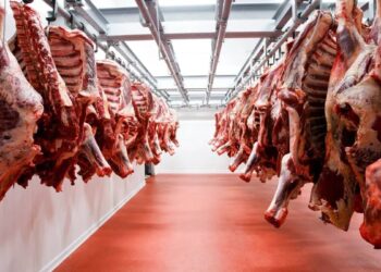 Namibian beef exports fall 50% in H1, wiping out up to N$800 Million