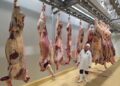 Savanna Beef completes first trial slaughter ahead of EU,SADC accreditation drive