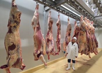 Savanna Beef completes first trial slaughter ahead of EU,SADC accreditation drive