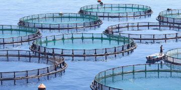 African Aquaculture, AKVA partner on N$8.5bn Lüderitz salmon project