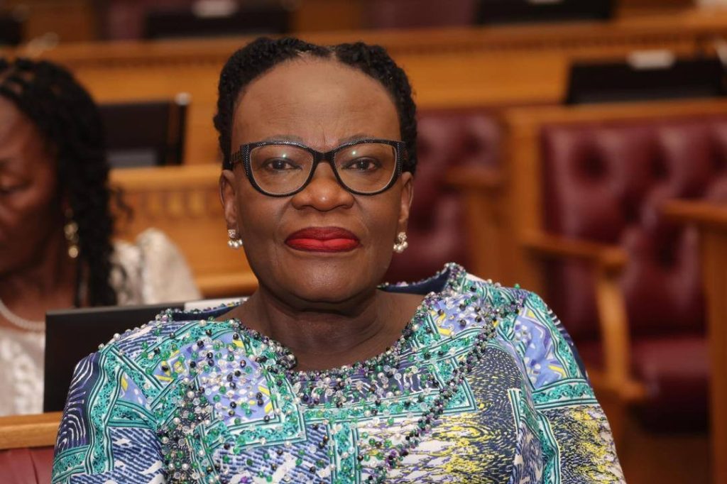 Selma Ashipala-Musavyi - The Brief | Namibia's Leading Business & Financial News