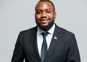 Vision to impact: The case for investment promotion