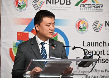 Chinese enterprises create over 10,000 jobs in Namibia