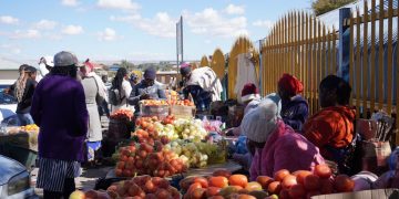 BoN moves to map informal economy for policy action