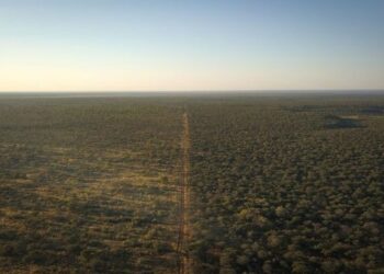 Farm Gai Kaisa biochar project in Namibia awarded top climate rating