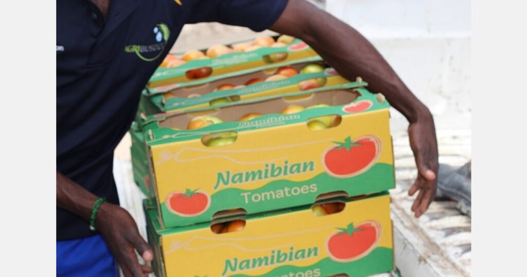 NAMIBIAN TOMATOES - The Brief | Namibia's Leading Business & Financial News