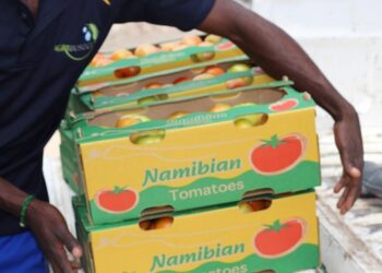 NAB plans N$250m investment to boost crop production and exports