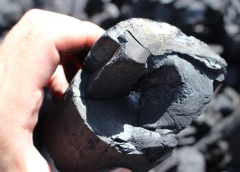 Carbon Capital sells 14,500 carbon credits since accreditation