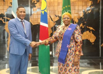 Namibia, Botswana move to resolve cement and charcoal trade barriers
