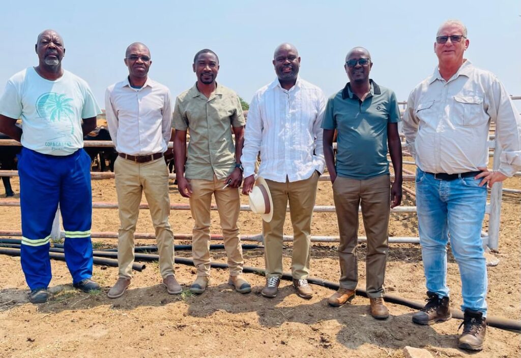 MEATCO MENSE - The Brief | Namibia's Leading Business & Financial News