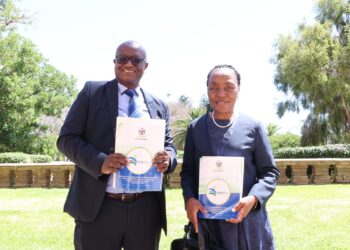 Govt revenue up 9.3% to N$89.1bn on stronger SACU, VAT and diamond receipt