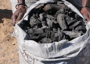 Namibia’s charcoal exports hit N$100m in September as total exports reach N$7.4 bn
