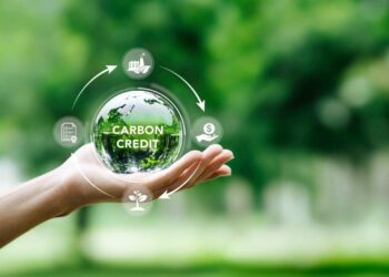 Namibia could generate up to N$5.6 billion annually from carbon credits
