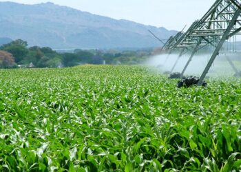 Namibia’s Green Schemes spend up to N$1 million each a month on power