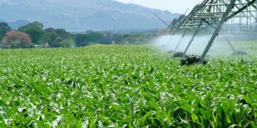 Namibia’s Green Schemes spend up to N$1 million each a month on power