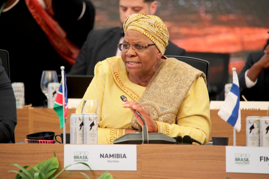 NAM PRESIDENT - The Brief | Namibia's Leading Business & Financial News