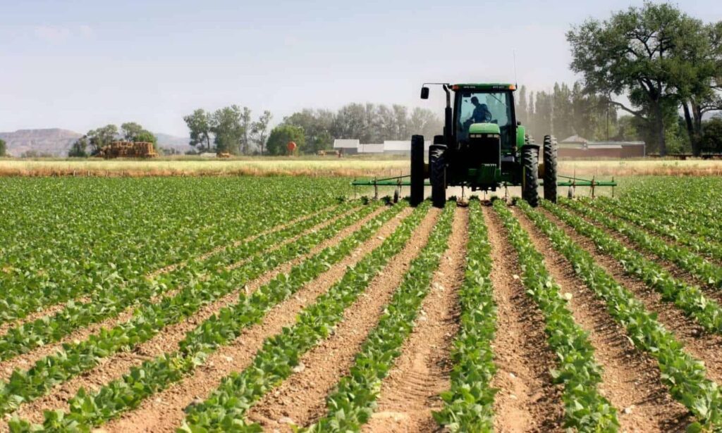 AGRICULTURE1 - The Brief | Namibia's Leading Business & Financial News