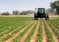 AGRICULTURE1 - The Brief | Namibia's Leading Business & Financial News Gvt budgets N$610m towards food security, water and fisheries development