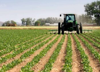 Gvt budgets N$610m towards food security, water and fisheries development