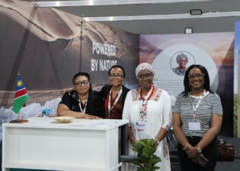 Namibia calls for scaled-up, fair climate finance to support developing nations