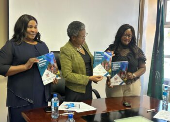 Namibia records 1.25 million tourist arrivals in 2024, with Germany and SA as top markets