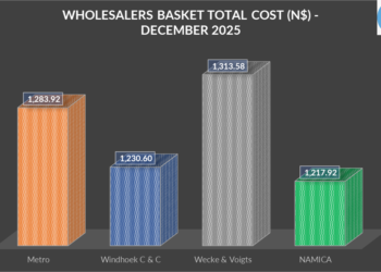 December 2025 wholesalers market snapshot: NAMICA holds the crown once again
