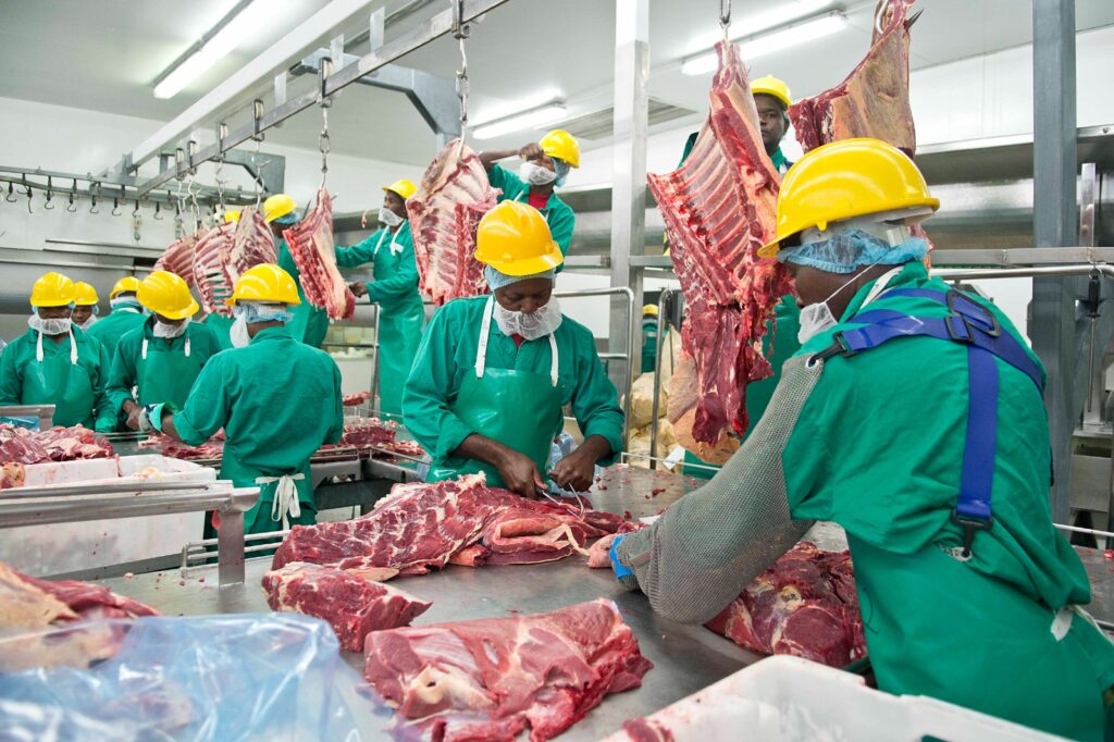 MEAT1 - The Brief | Namibia's Leading Business & Financial News