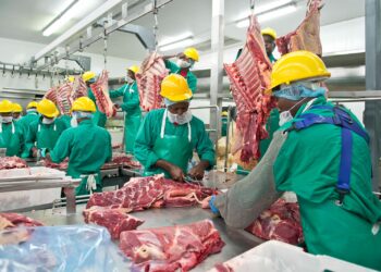 Meatco misses 70,000 slaughter target