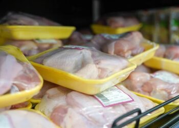 Namibia slaughters 17.6m chickens as poultry imports top 18.7m kg